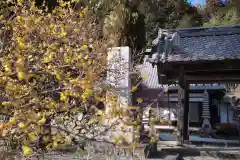 最勝寺の自然