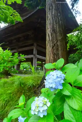 円覚寺(神奈川県)
