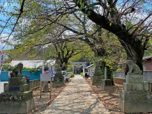 前玉神社の狛犬