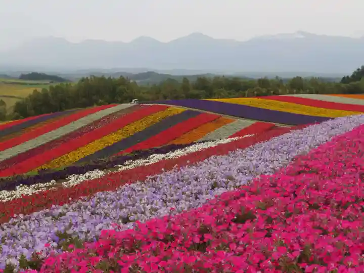 美瑛神社の周辺
