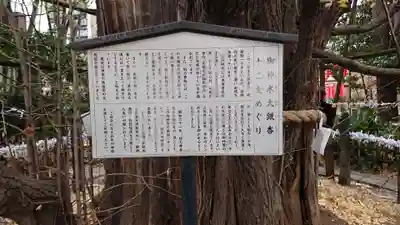 稲毛神社の歴史