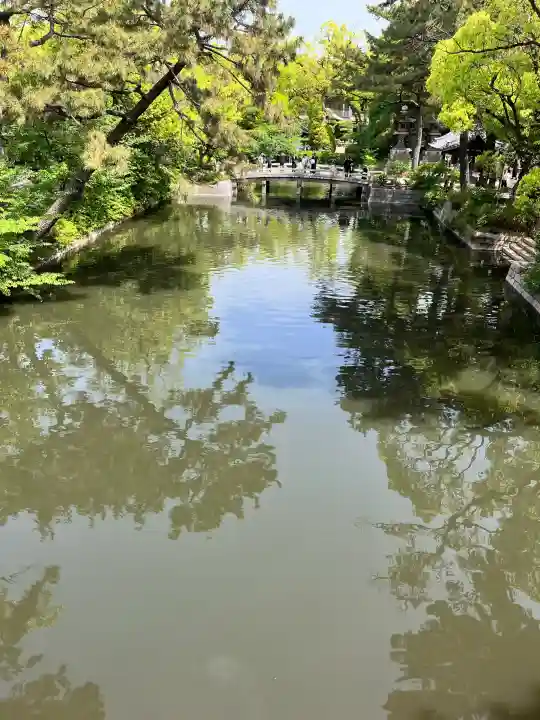 住吉大社の{uncategorized: "未分類", other: "その他", undefined: "問題あり", building: "その他建物", grave: "お墓", sacred_gate: "鳥居", guardian: "狛犬", statue: "像", buddha: "仏像", history: "歴史", nature: "自然", garden: "庭園", animal: "動物", pagoda: "塔", temizu: "手水舎", mountain_gate: "山門・神門", sanctuary: "本殿・本堂", subordinate: "末社・摂社", art: "芸術", scenery: "景色", jizo: "地蔵", ema: "絵馬", goshuin: "御朱印", omikuji: "おみくじ", items: "授与品その他", amulet: "お守り", goshuincho: "御朱印帳", eats: "食事", festival: "お祭り", votive_dance: "神楽", shichigosan: "七五三参", wedding: "結婚式", experience: "体験その他", initially: "初詣", around: "周辺", anti_infection: "感染症対策"}
