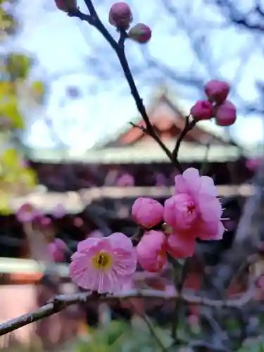 赤坂氷川神社(東京都)
