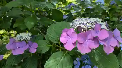 正法寺(京都府)