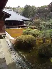 隨心院（随心院）の庭園