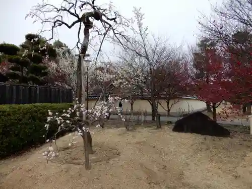 薬師寺の庭園