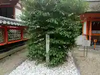 荒見神社のその他建物