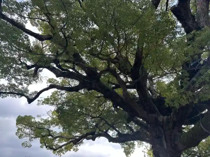 百舌鳥八幡宮(大阪府)