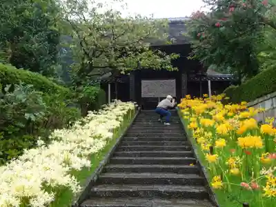 横浜 西方寺の山門・神門