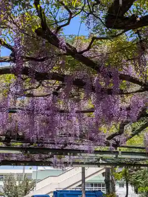 國領神社(東京都)