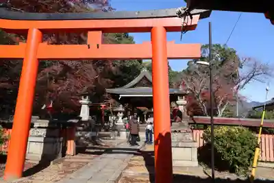 竹中稲荷神社（吉田神社末社）(京都府)