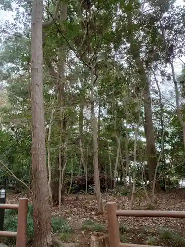 櫻木神社の自然