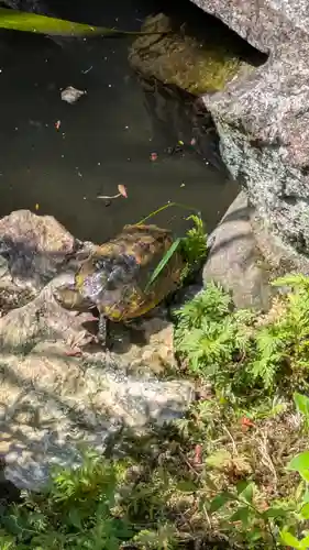 宝蔵寺(京都府)