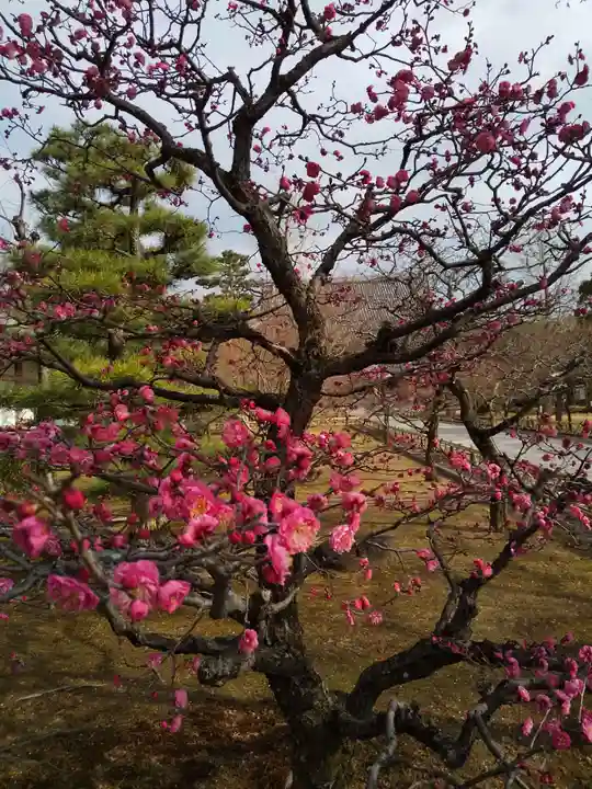 智積院(京都府)