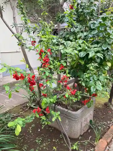 慶養寺(東京都)
