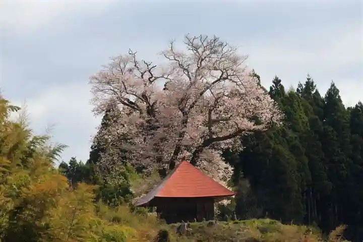 十一面観音堂の景色