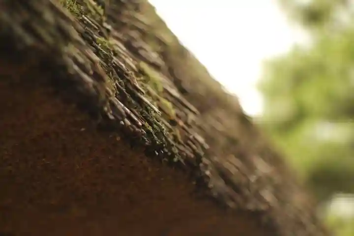 高台寺(高台寿聖禅寺・高臺寺)(京都府)