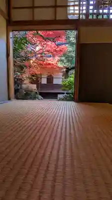 金臺寺（金台寺）(京都府)