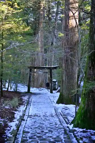 瀧尾神社（日光二荒山神社別宮）の鳥居