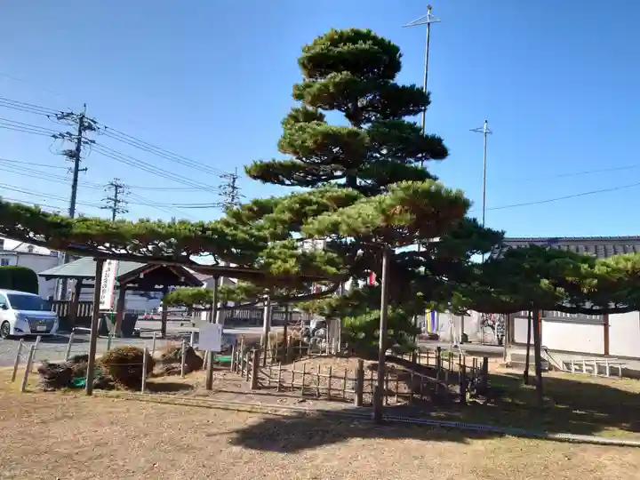 上田大神宮(長野県)