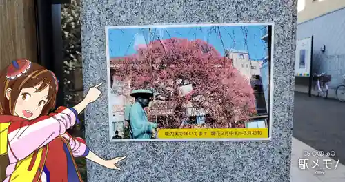 眞性寺(東京都)