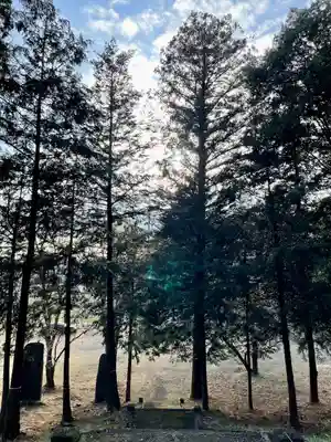 摩利支天塚古墳(摩利支天尊)(栃木県)