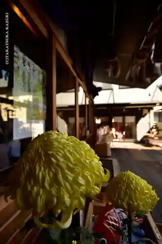 菊名神社の自然