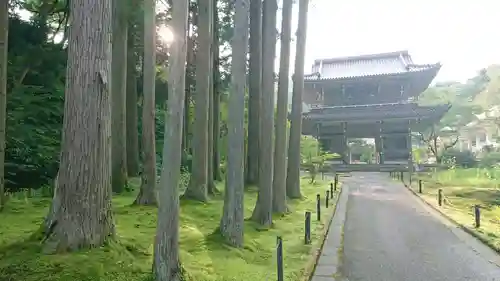 林泉寺の山門