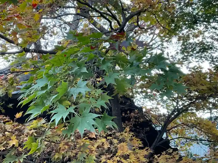 待乳山聖天(本龍院)の自然