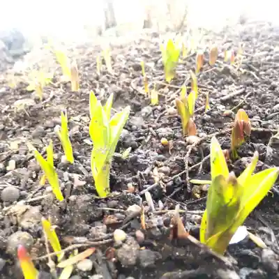 七重浜海津見神社(北海道)