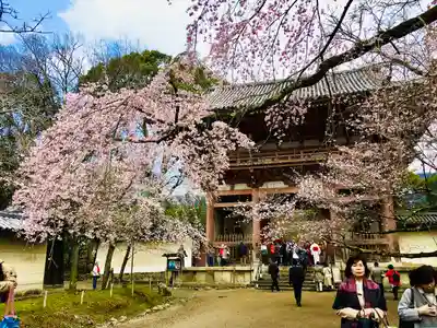 醍醐寺の山門・神門
