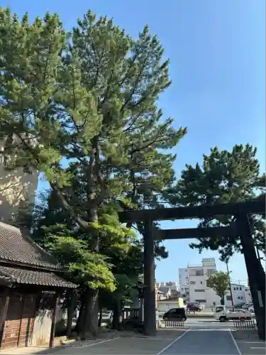 安久美神戸神明社(愛知県)