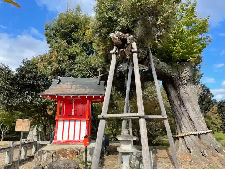 大覚寺(京都府)
