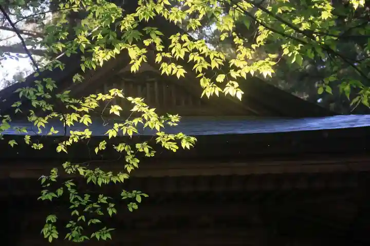 鹿島大神宮の景色