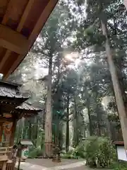 御岩神社の自然