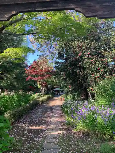 龍真寺(群馬県)