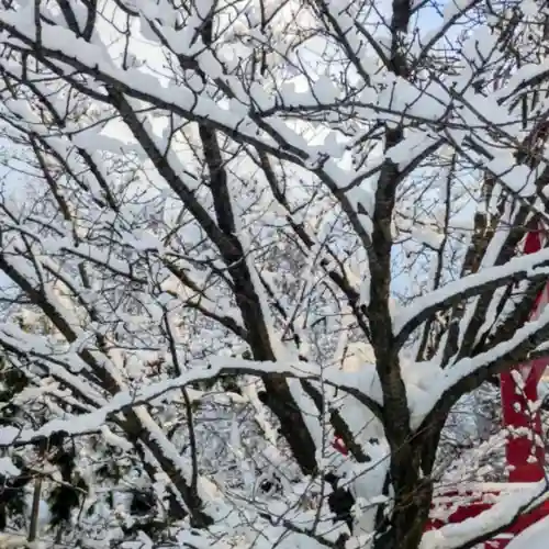 彌彦神社　(伊夜日子神社)(北海道)