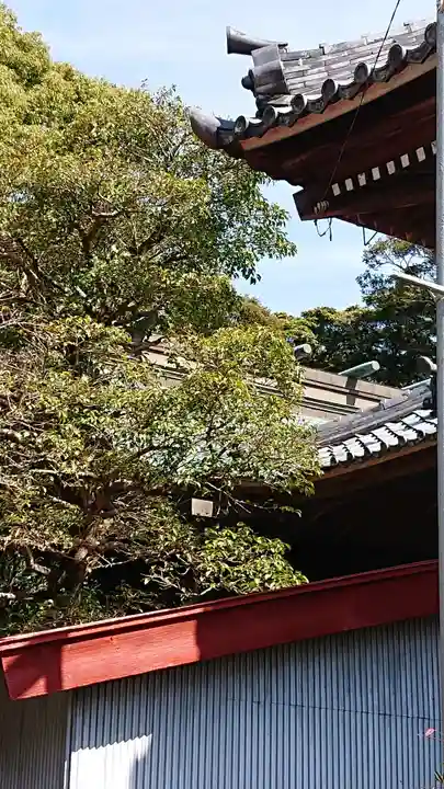 牟呂八幡宮の本殿・本堂