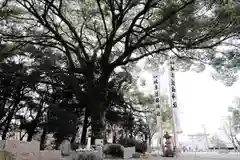 岐阜護國神社(岐阜県)