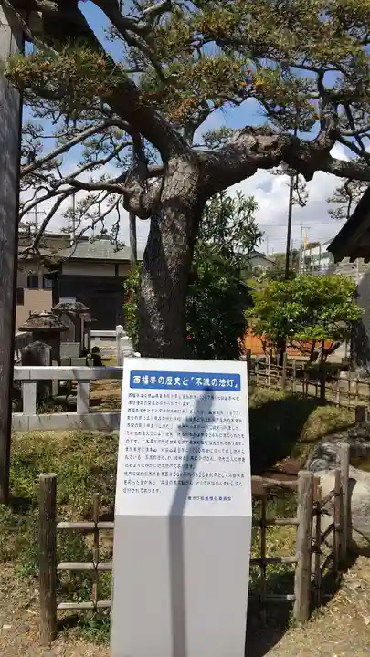 西福寺(開運不動尊)の歴史