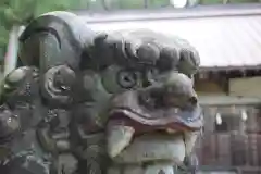 白鬚神社の狛犬