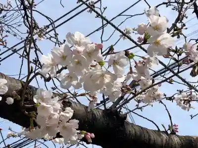 於咲稲荷神社・波除(浪除)稲荷神社の自然