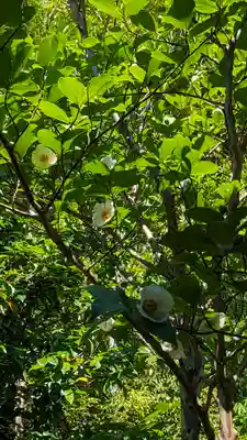東林院(京都府)