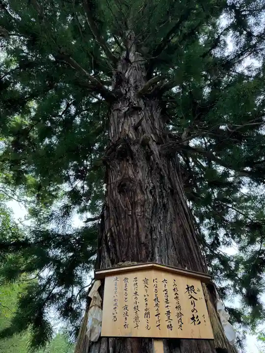 諏訪大社下社秋宮(長野県)