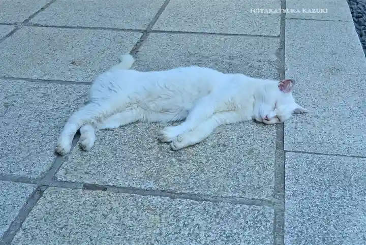 愛宕神社(東京都)