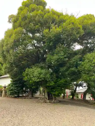 東海市熊野神社(愛知県)