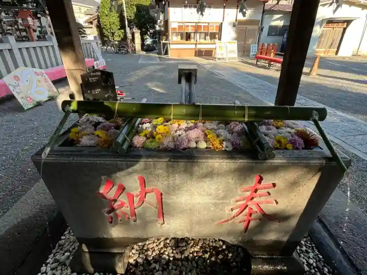 草加神社(埼玉県)