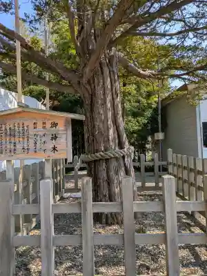 湯倉神社の{uncategorized: "未分類", other: "その他", undefined: "問題あり", building: "その他建物", grave: "お墓", sacred_gate: "鳥居", guardian: "狛犬", statue: "像", buddha: "仏像", history: "歴史", nature: "自然", garden: "庭園", animal: "動物", pagoda: "塔", temizu: "手水舎", mountain_gate: "山門・神門", sanctuary: "本殿・本堂", subordinate: "末社・摂社", art: "芸術", scenery: "景色", jizo: "地蔵", ema: "絵馬", goshuin: "御朱印", omikuji: "おみくじ", items: "授与品その他", amulet: "お守り", goshuincho: "御朱印帳", eats: "食事", festival: "お祭り", votive_dance: "神楽", shichigosan: "七五三参", wedding: "結婚式", experience: "体験その他", initially: "初詣", around: "周辺", anti_infection: "感染症対策"}