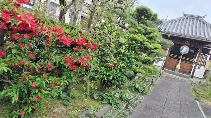 祐正寺(京都府)