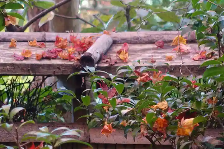 祇王寺(京都府)